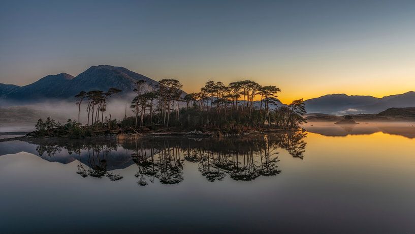 Denneneiland - Connemara van Peter Bijsterveld
