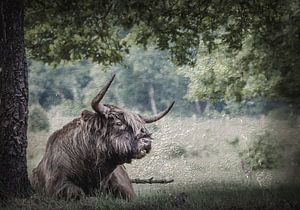 Paysage écossais Highlander au look rétro