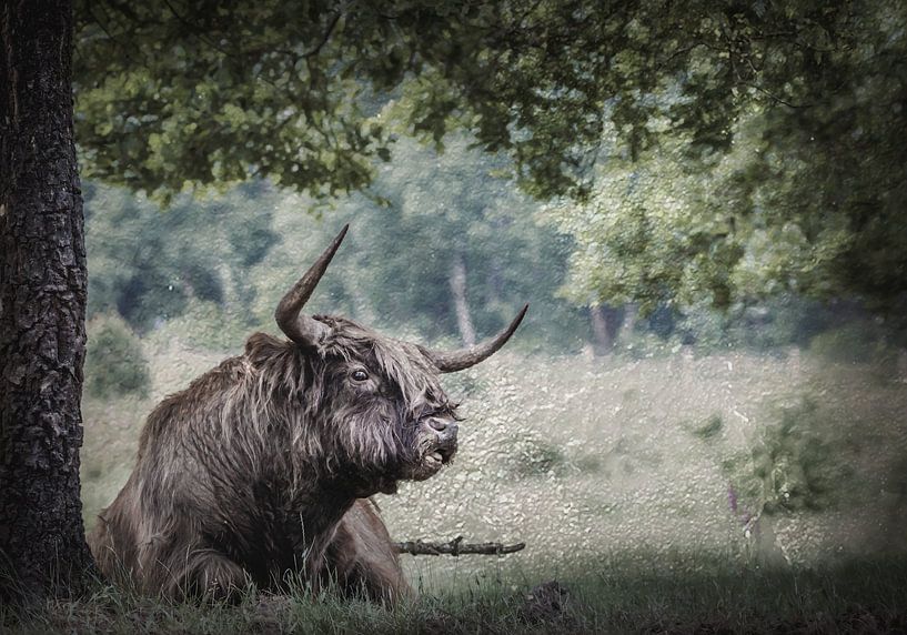 Scottish Highlander retro look landscape by natascha verbij