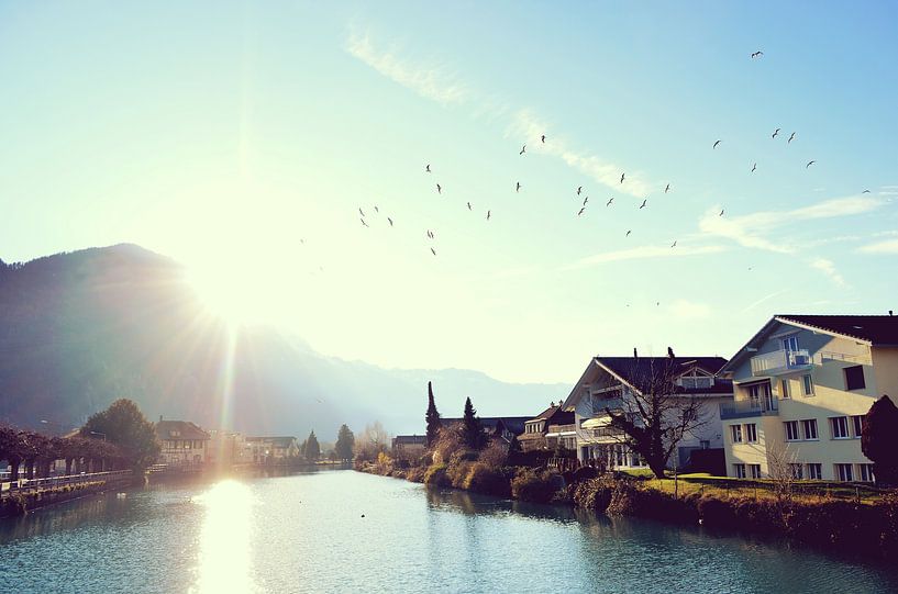 Schönes Sonnenlicht im See in der Schweiz von Carolina Reina