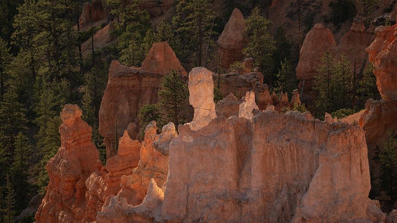 Bryce Canyon, Utah van Photo Wall Decoration