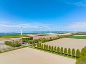 Agricutlural fields during springtime with wind turbines in the background by Sjoerd van der Wal Photography thumbnail
