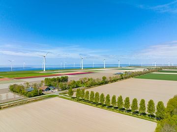Agricutlural fields during springtime with wind turbines in the background by Sjoerd van der Wal
