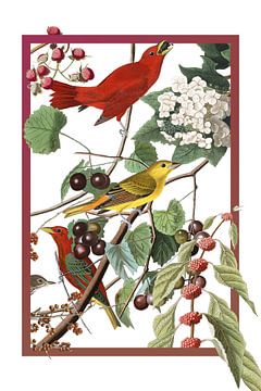 Redbirds in a frame by Jadzia Klimkiewicz