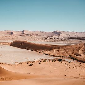View over sand dunes in Namibia by Sander Wehkamp