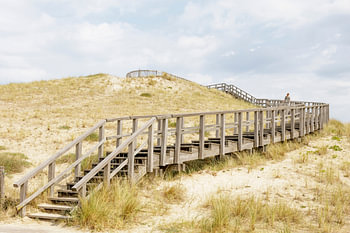 Panoramaduine in Petten, Niederlande