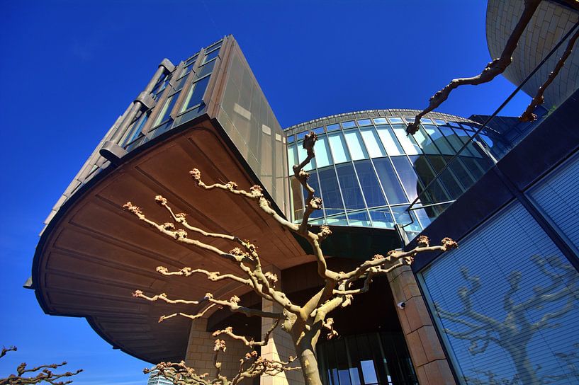 Boom en Landtag architectuur van Edgar Schermaul