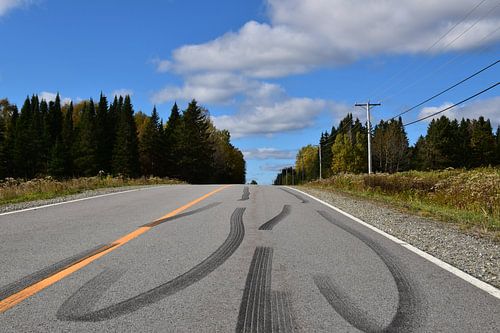 Een plattelandsweg in de zomer