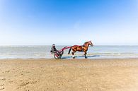 Met paard en wagen over het strand van Tony Buijse thumbnail