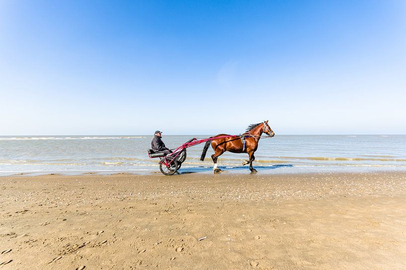 Met paard en wagen over het strand van Tony Buijse