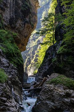 The Liechtensteinklamm by Jeroen de Weerd