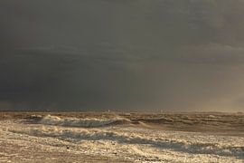 wellen an der nordsee zeeland von anne droogsma