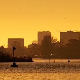 Potsdam skyline op de Havel bij zonsondergang van Frank Herrmann