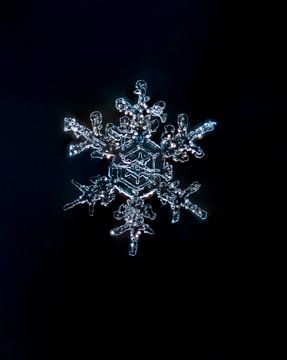 Flocon de neige dans la perfection glacée