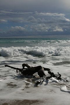 stronk in de branding