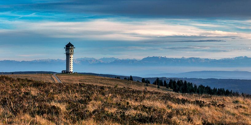 Blick zum Feldbergturm bis zu den Alpen von Jürgen Wiesler