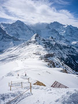 Uitzicht op Mönch en Jungfrau vanaf de top van Männlichen van t.ART