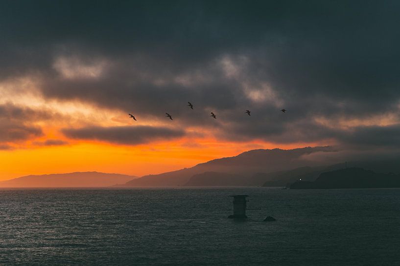 San Francisco by Hello Pompoyo
