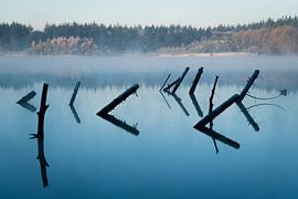 Trees in the lake by Durk-jan Veenstra