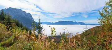 autumnal landscape at Grunberg mountain, with view to foggy lake Traunsee  Salzkammergut  austrian t by SusaZoom