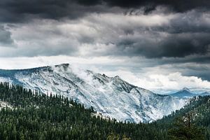 Blick in den Nationalpark