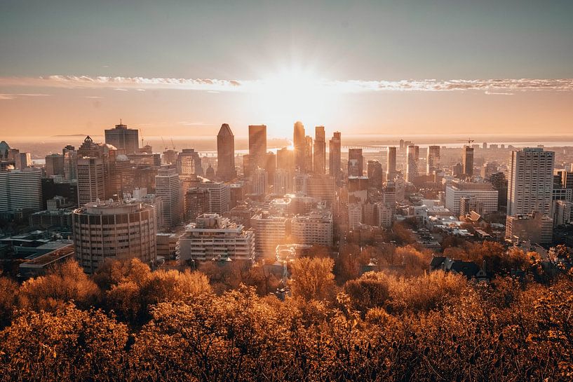 Montreal by Hello Pompoyo