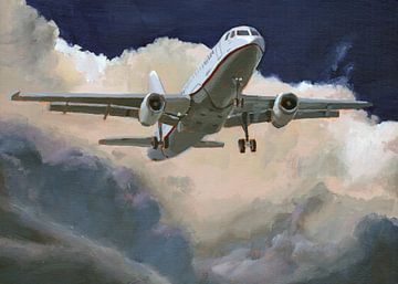 Vliegtuig. Schilderij door Toon Nagtegaal van Toon Nagtegaal