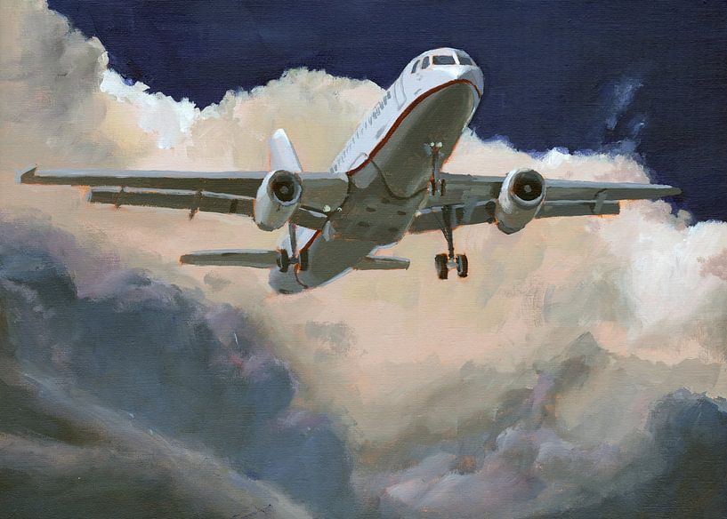 Vliegtuig. Schilderij door Toon Nagtegaal van Toon Nagtegaal