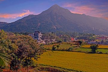 Heiliger Berg Arunachala in Tiruvannamalai Tamil Nadu Indien bei Sonnenuntergang von Eye on You