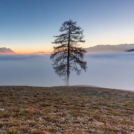 Nebel über dem Tiroler Inntal von Sandra Schönherr