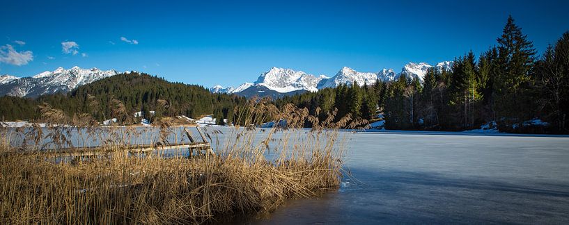 Still winter... by Alexandra Hegemann