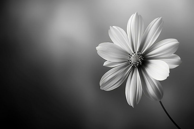 Monochrome Blüte - Eleganz der Schlichtheit von Poster Art Shop
