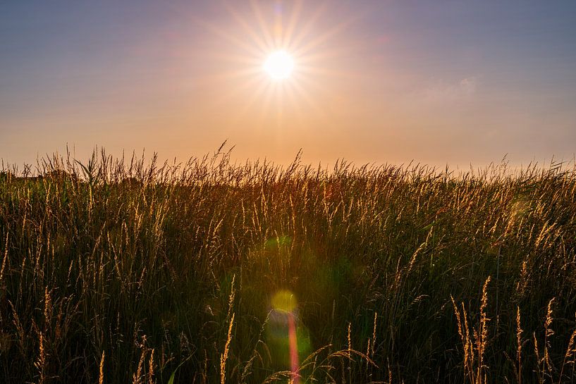 Sunset over the marshland by Frank Kuschmierz