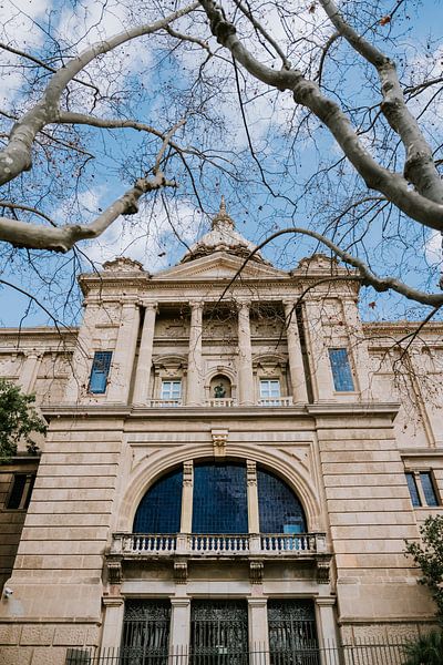 Barcelona by Rachel Fotografie