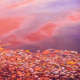 Goldener Herbst — Sonnenuntergang am See von Jonathan Schöps | UNDARSTELLBAR