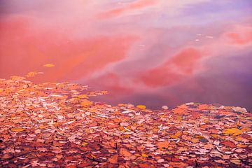 Goldener Herbst — Sonnenuntergang am See