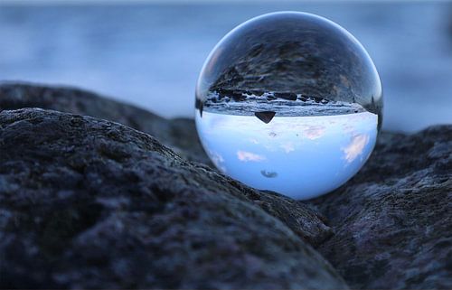 The world upside down