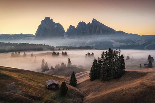 Seiser Alm voor zonsopgang II
