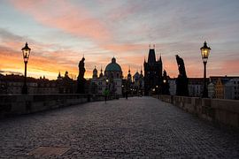 Charles Bridge Prague by Stephan Schulz