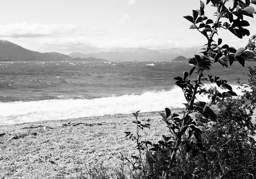patagonia beach