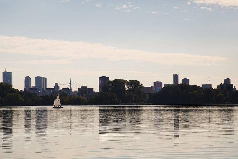 Skyline Rotterdam by Nancy Twickler
