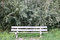 Le banc dans la nature
