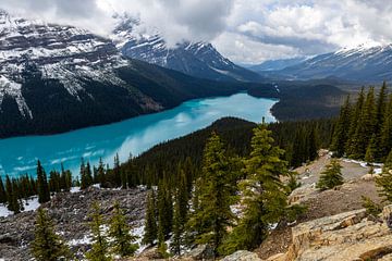 Der Lake Peyto in den Rocky Mountains von Roland Brack