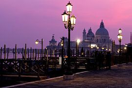 Basilika Santa Maria della Salute von Thomas Herzog