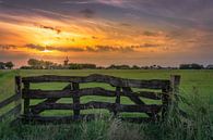 Friesland van Bart Hendrix thumbnail