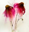 Sweet red by annemiek art thumbnail