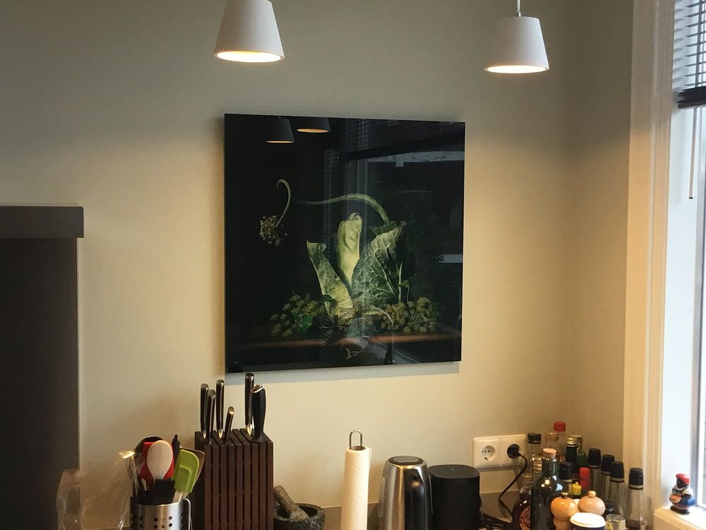 Ein grünes Märchen  von Monique van Velzen 