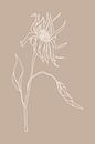Boho botanical wildflower in beige no.2 by Dina Dankers thumbnail