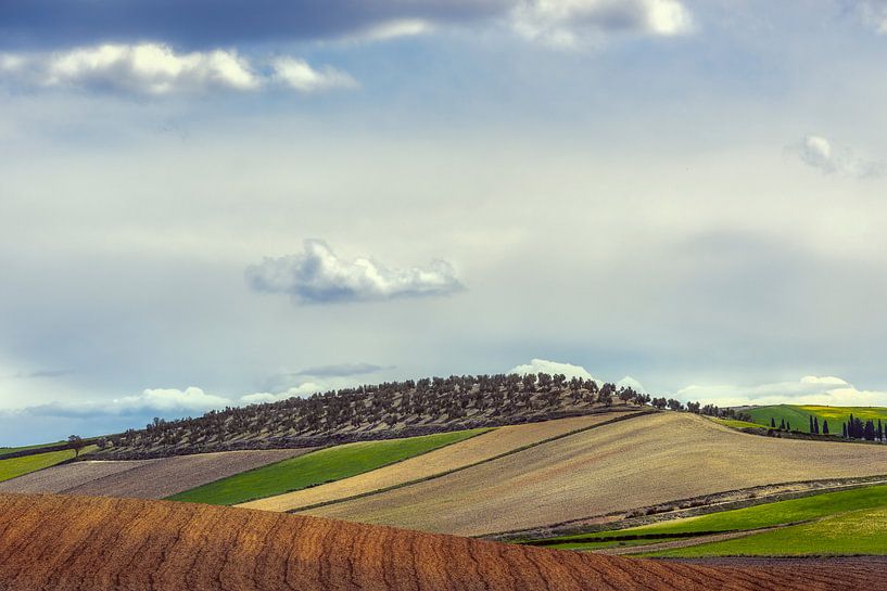Hügellandschaft Andalusien von Peter Poppe