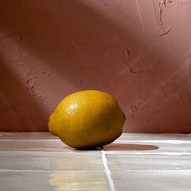 Lemons in Paradise van Rose Mentink